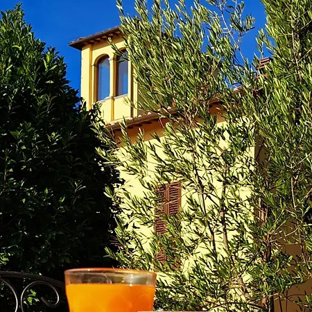 Guarnaschelli * Scandicci