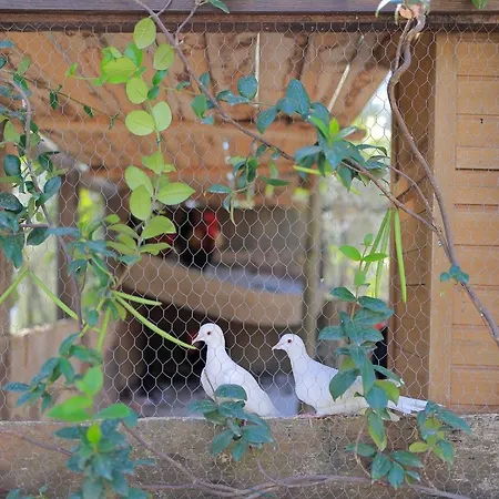 Guarnaschelli Vakantieboerderij