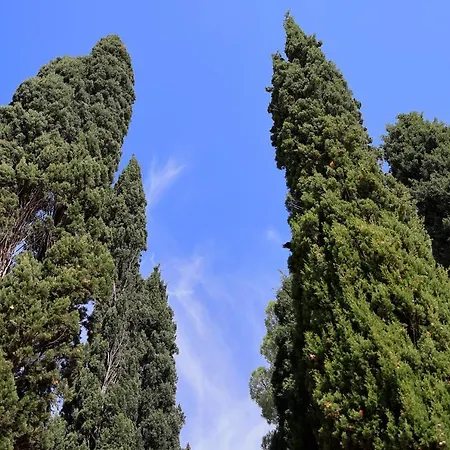 Guarnaschelli Κατάλυμα σε φάρμα