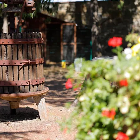 Guarnaschelli Vakantieboerderij Scandicci