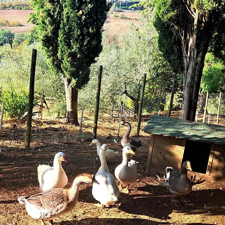 Guarnaschelli Vakantieboerderij *